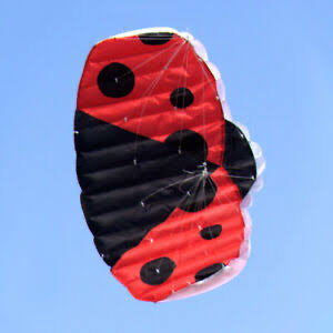 Ladybug stunt kite